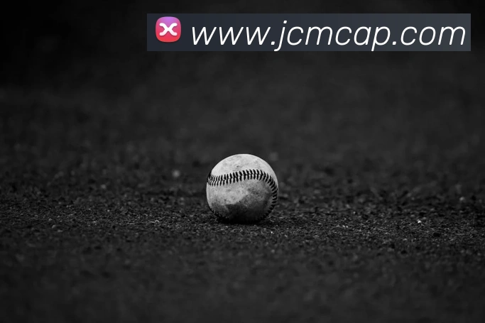 世界杯官网平台平台生态图